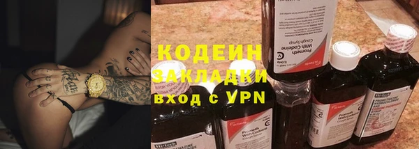apvp Инсар
