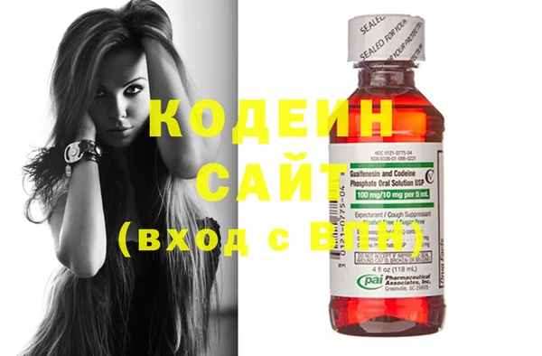 apvp Инсар