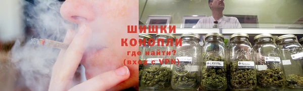 spice Инта