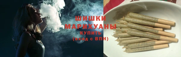 apvp Инсар