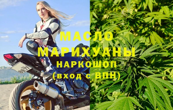 spice Инта