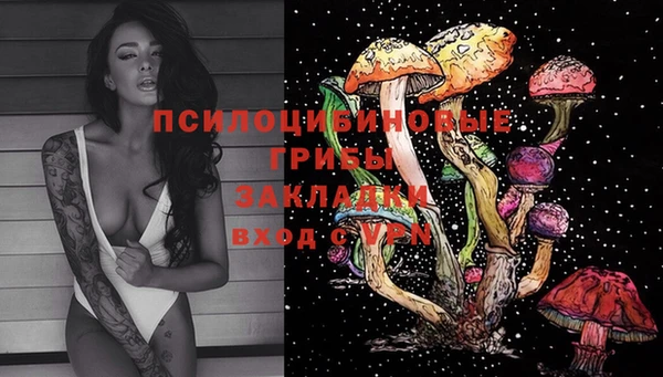 apvp Инсар