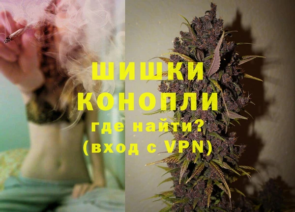 apvp Инсар