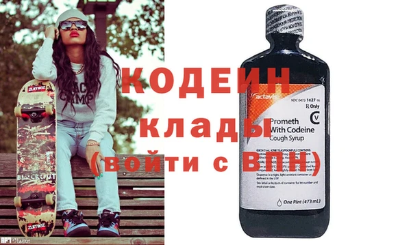 spice Инта
