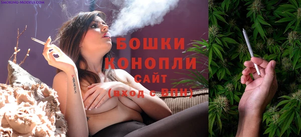 apvp Инсар