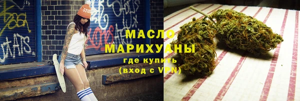 spice Инта