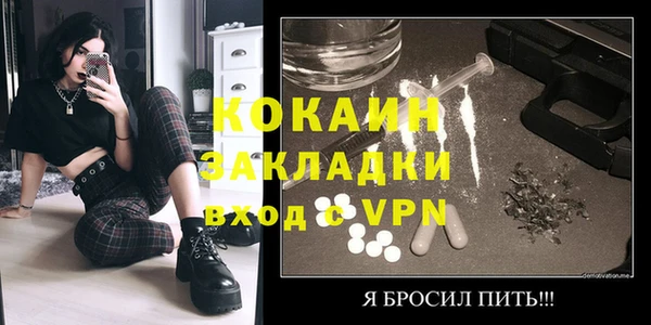 apvp Инсар