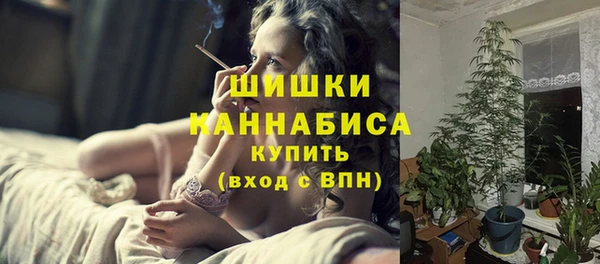 spice Инта